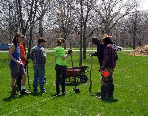 Laying out the orchard grid